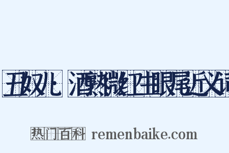 丑奴儿·酒熟微红生眼尾近义词是什么意思的图片